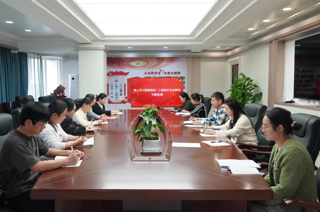 广西勘察设计协会党支部召开第四季度专题党课
